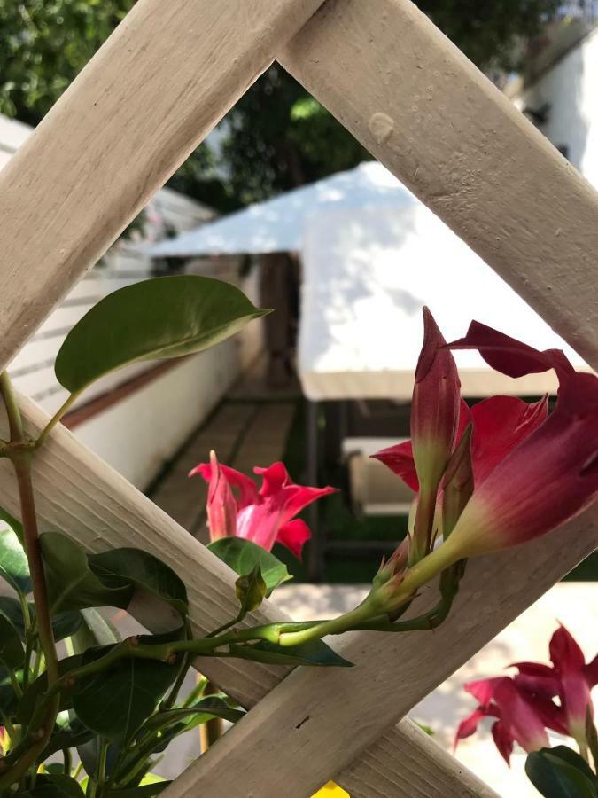 卡斯特拉玛雷帝斯达比亚Virgilio'S Garden住宿加早餐旅馆 外观 照片